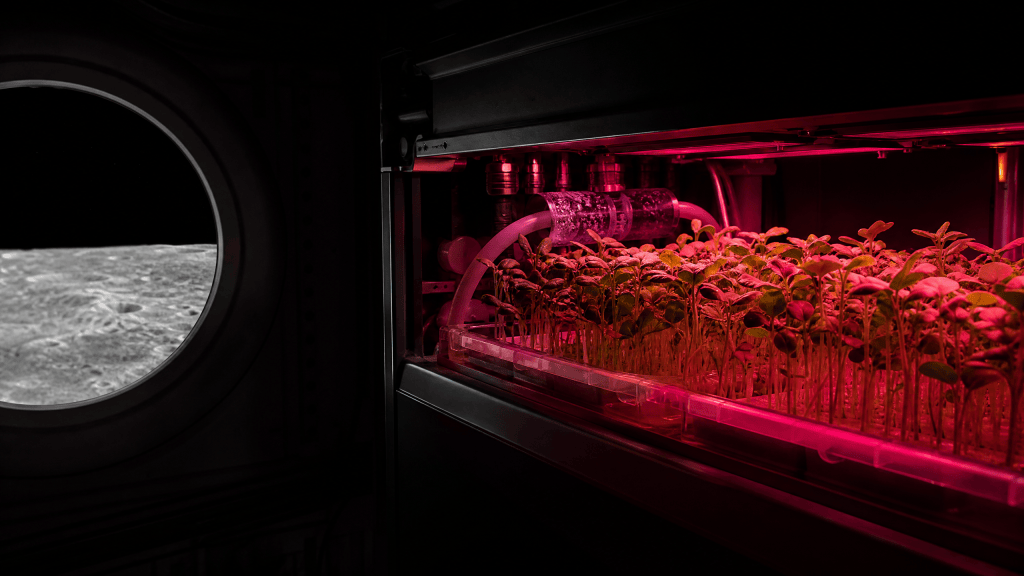 Inside a dark lunar habitat module, a rack of seedlings glows under magenta grow lights next to a round window showing the grey lunar surface.